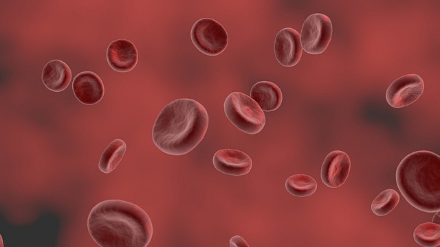 Natural Ways to increase Haemoglobin